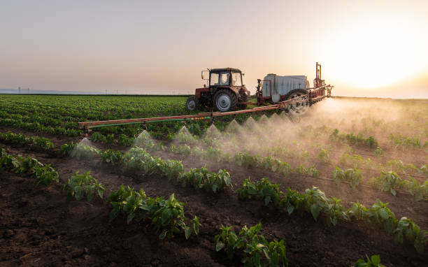 Best Commercial Pest Control Services  in Utqiagvik, AK